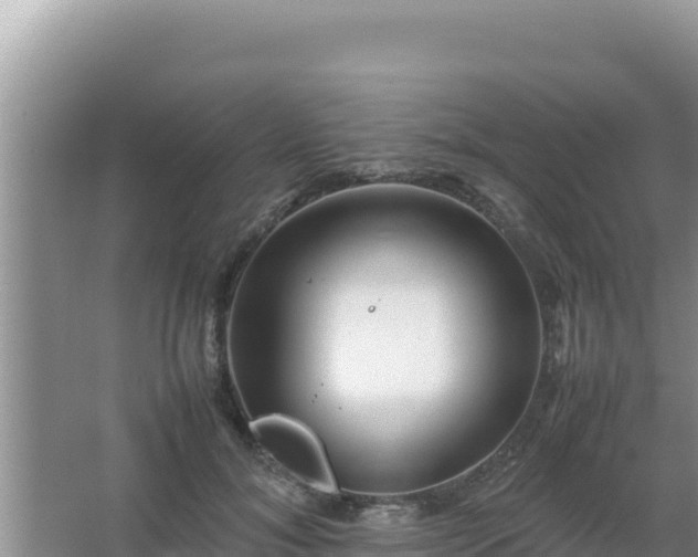 X0000067500700200604150108