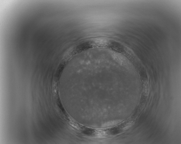 X0000067500701200604150108