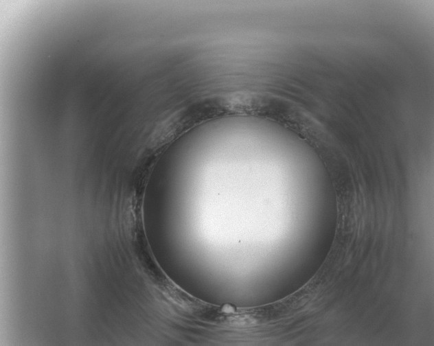 X0000067500702200604150108