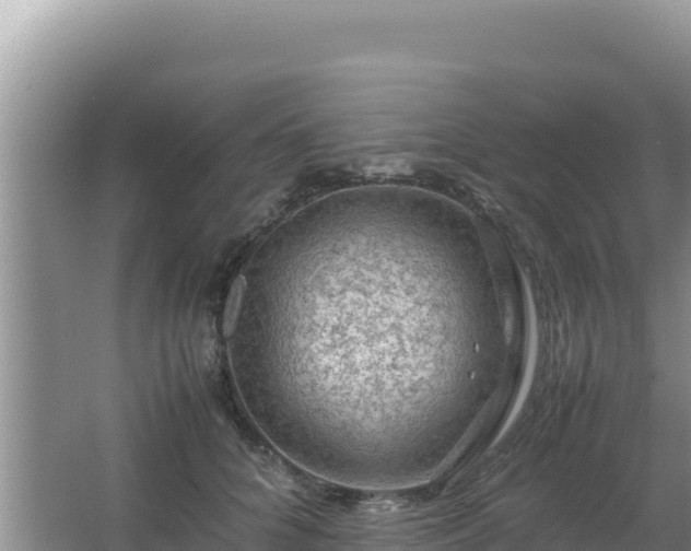 X0000067500704200604150108