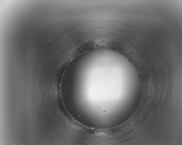 X0000067500706200604150108