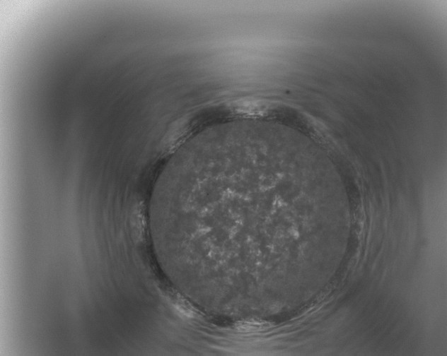 X0000067500707200604150108