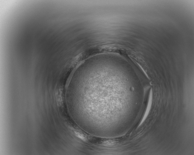 X0000067500708200604150108