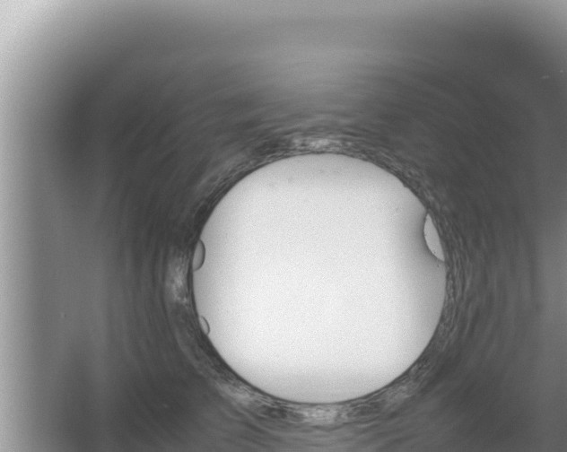 X0000067500709200604150108