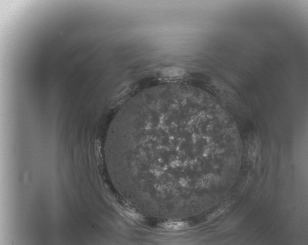 X0000067500711200604150108