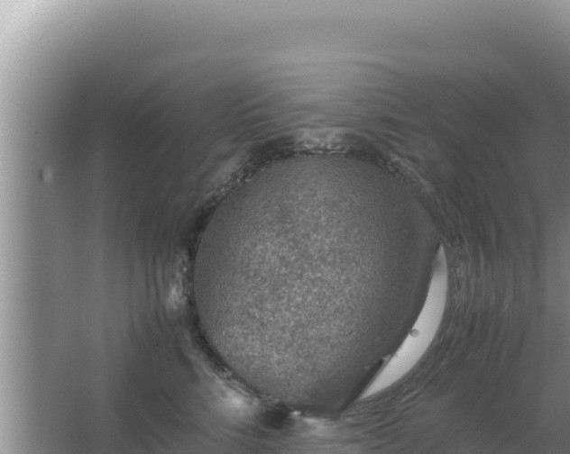 X0000067500712200604150108