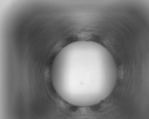 X0000067500713200604150108