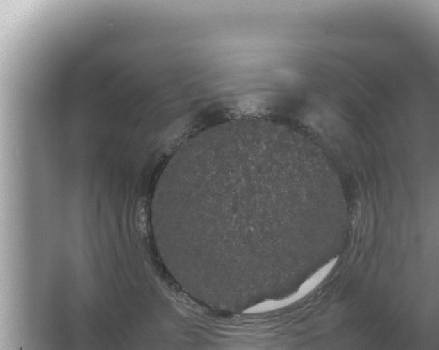 X0000067500715200604150107