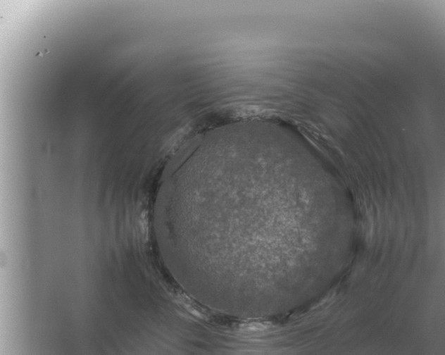 X0000067500716200604150107