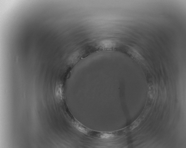 X0000067500718200604150107