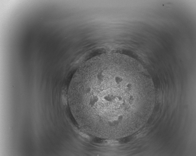 X0000067500719200604150107