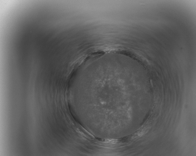 X0000067500720200604150107