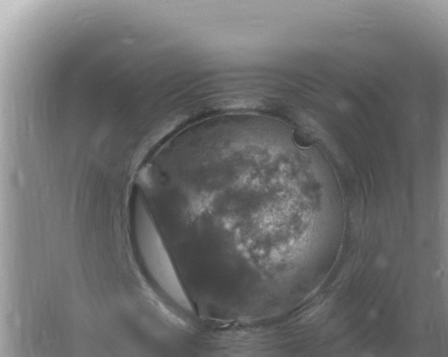 X0000067500721200604150107