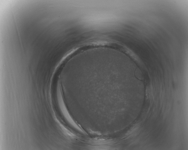 X0000067500722200604150107