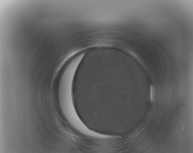 X0000067500723200604150107