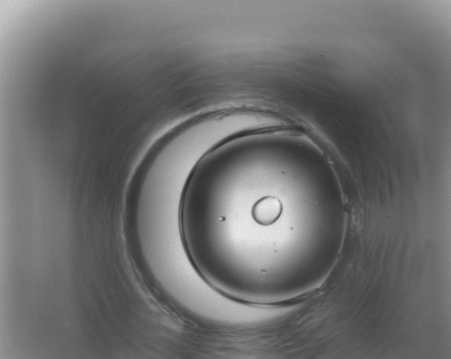 X0000067500724200604150107