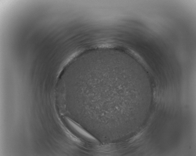 X0000067500725200604150107