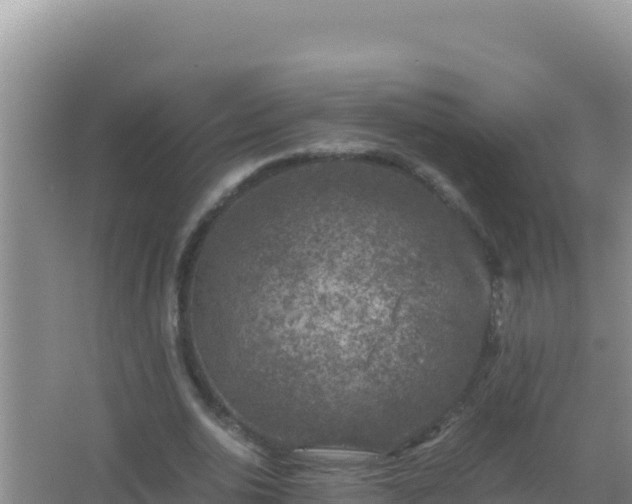 X0000067500726200604150107