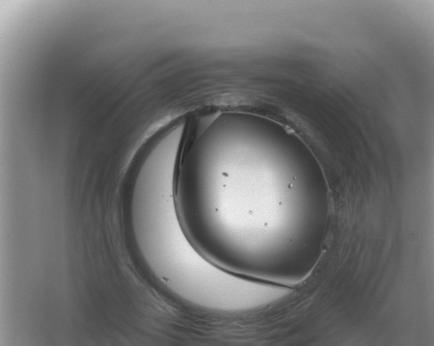 X0000067500727200604150107