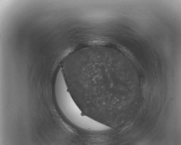 X0000067500729200604150107