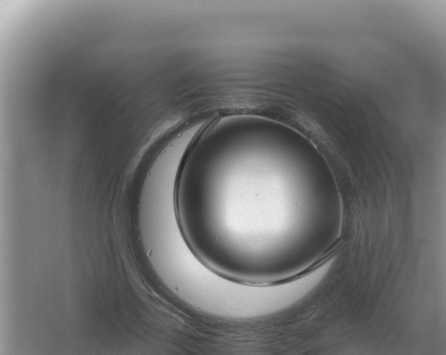 X0000067500731200604150107