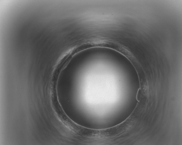 X0000067500732200604150107