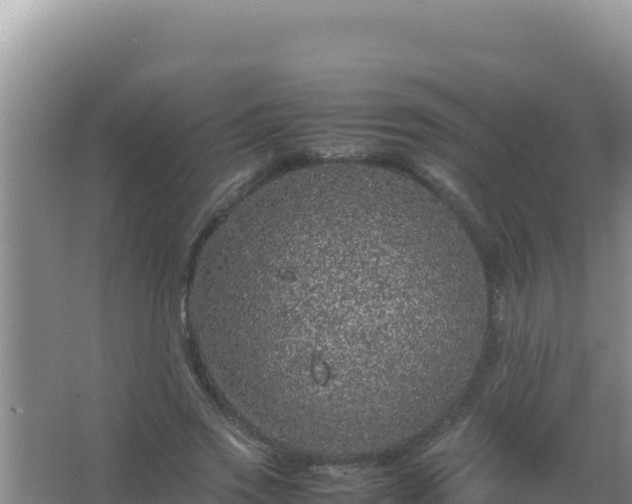 X0000067500733200604150107