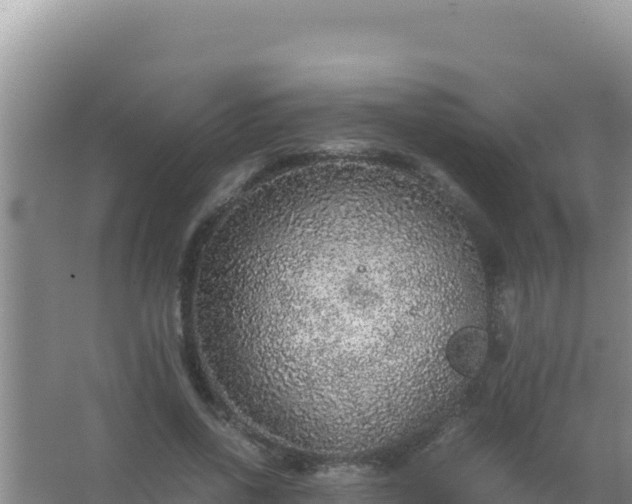 X0000067500734200604150107