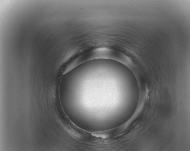 X0000067500735200604150107