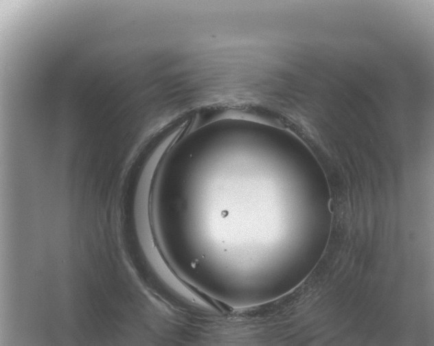 X0000067500736200604150107