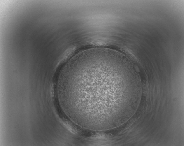 X0000067500738200604150107