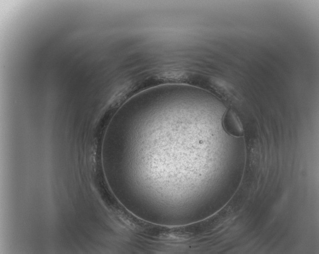 X0000067500739200604150107