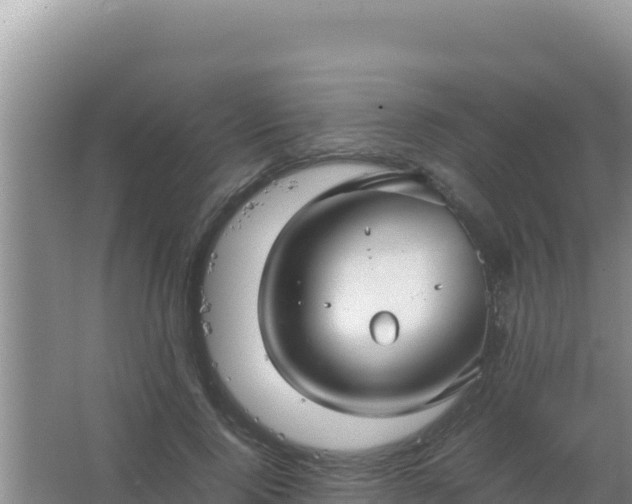 X0000067500740200604150107