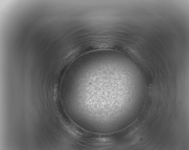 X0000067500741200604150107