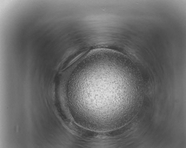 X0000067500742200604150107