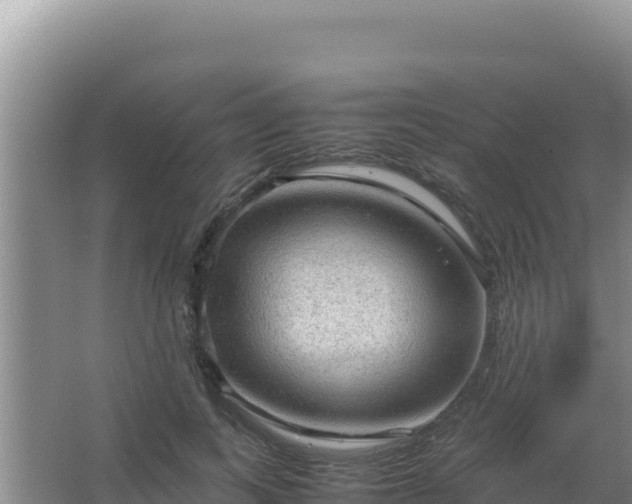 X0000067500743200604150107