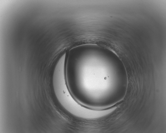 X0000067500744200604150107