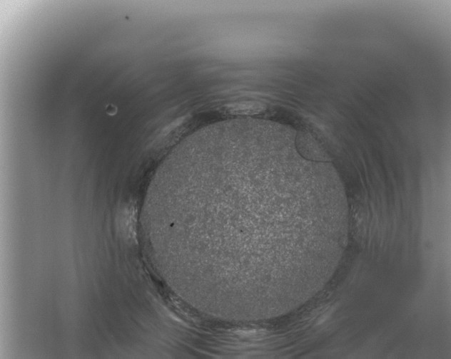 X0000067500745200604150107