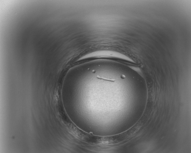 X0000067500746200604150107