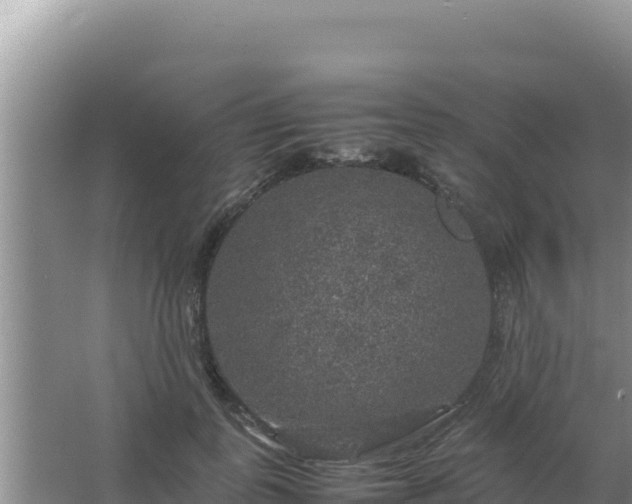 X0000067500747200604150107