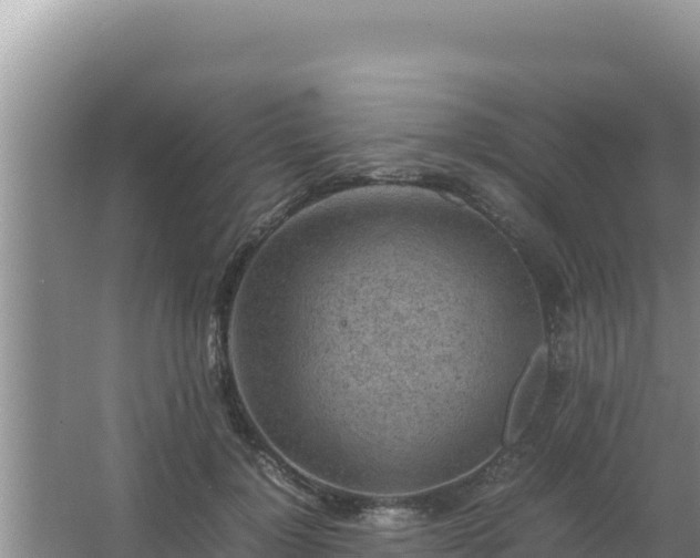 X0000067500748200604150107