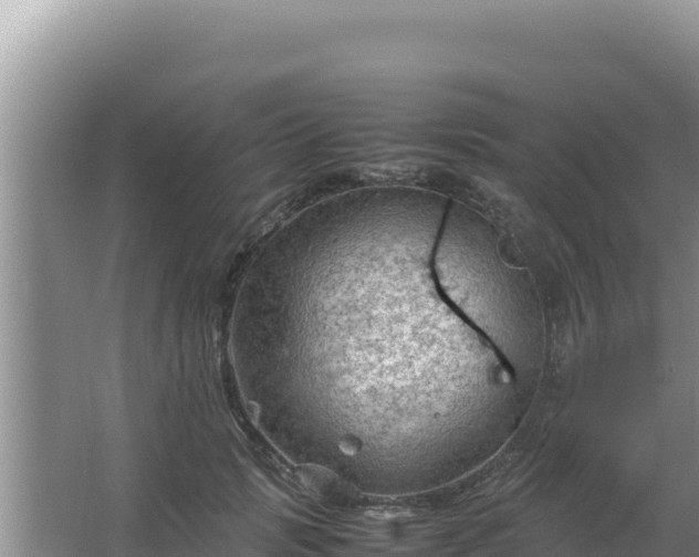 X0000067500749200604150107