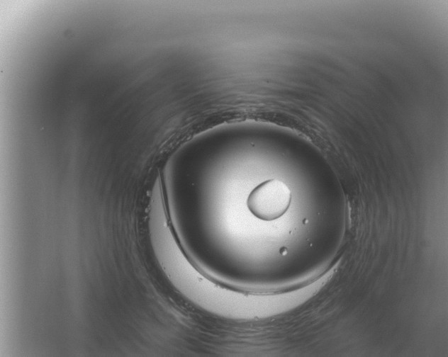 X0000067500750200604150107