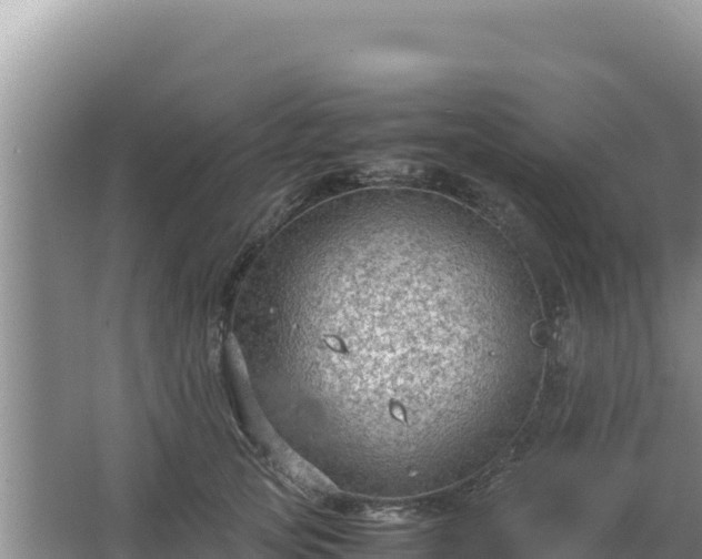 X0000067500753200604150107