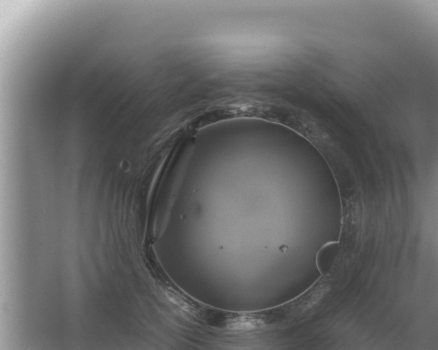 X0000067500754200604150107