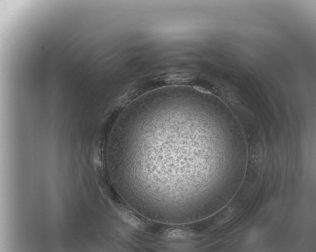 X0000067500755200604150107