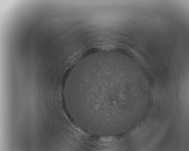 X0000067500757200604150107