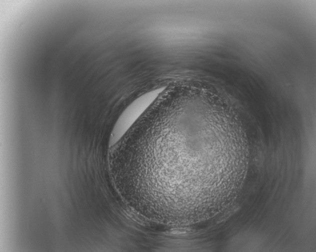 X0000067500758200604150107