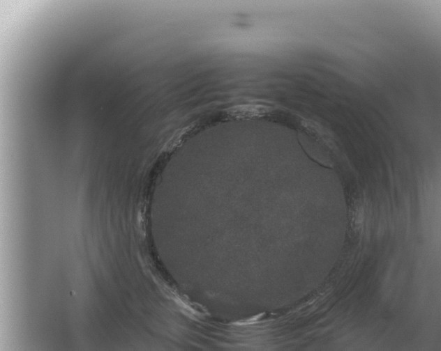 X0000067500759200604150107