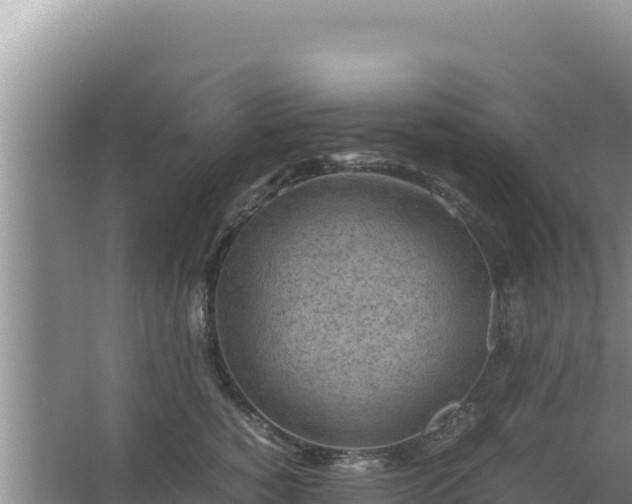 X0000067500760200604150107